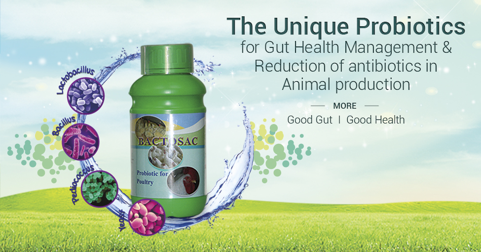 BACTOSAC_PVF975x510-slide_web