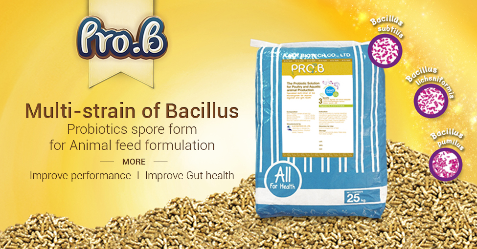 PROB_PVF975x510-slide_web