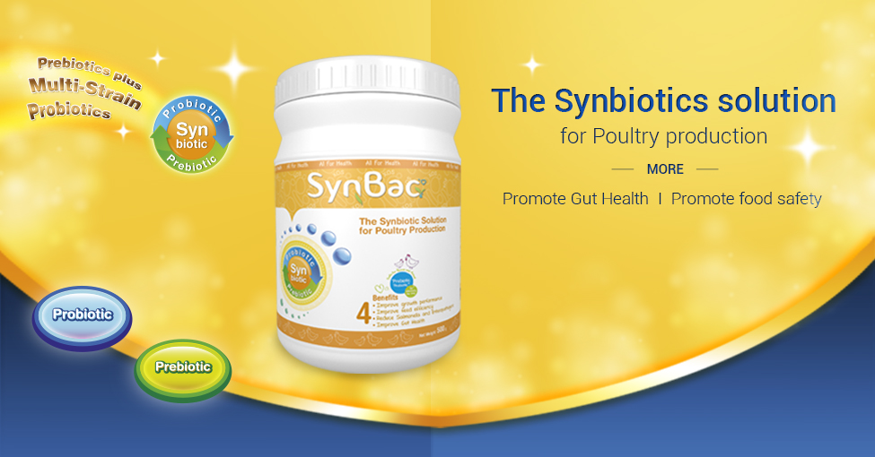 SYNBAC_PVF975x510-slide_web