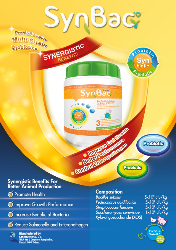 SynBac Brochure p1